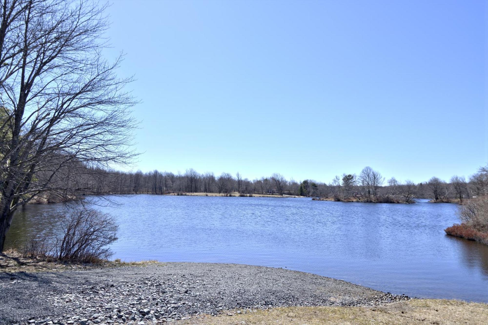 Lakehouse *Hottub*Jacuzzi*Firepit*Bbq*Pool Long Pond Eksteriør billede